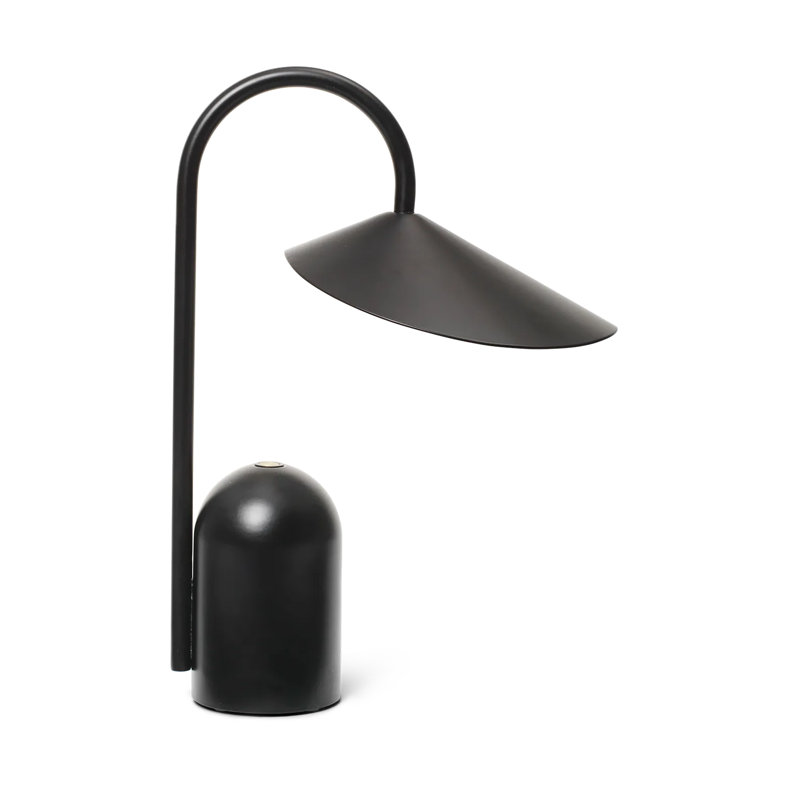 Arum lampa svart- ferm livning