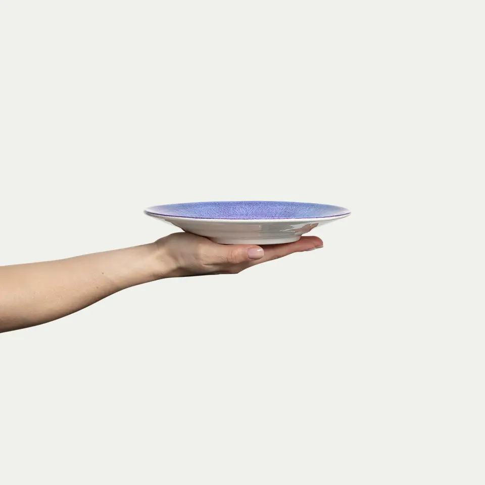 basic tallrik viol 1