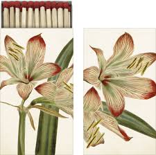 Tändstickor Amaryllis