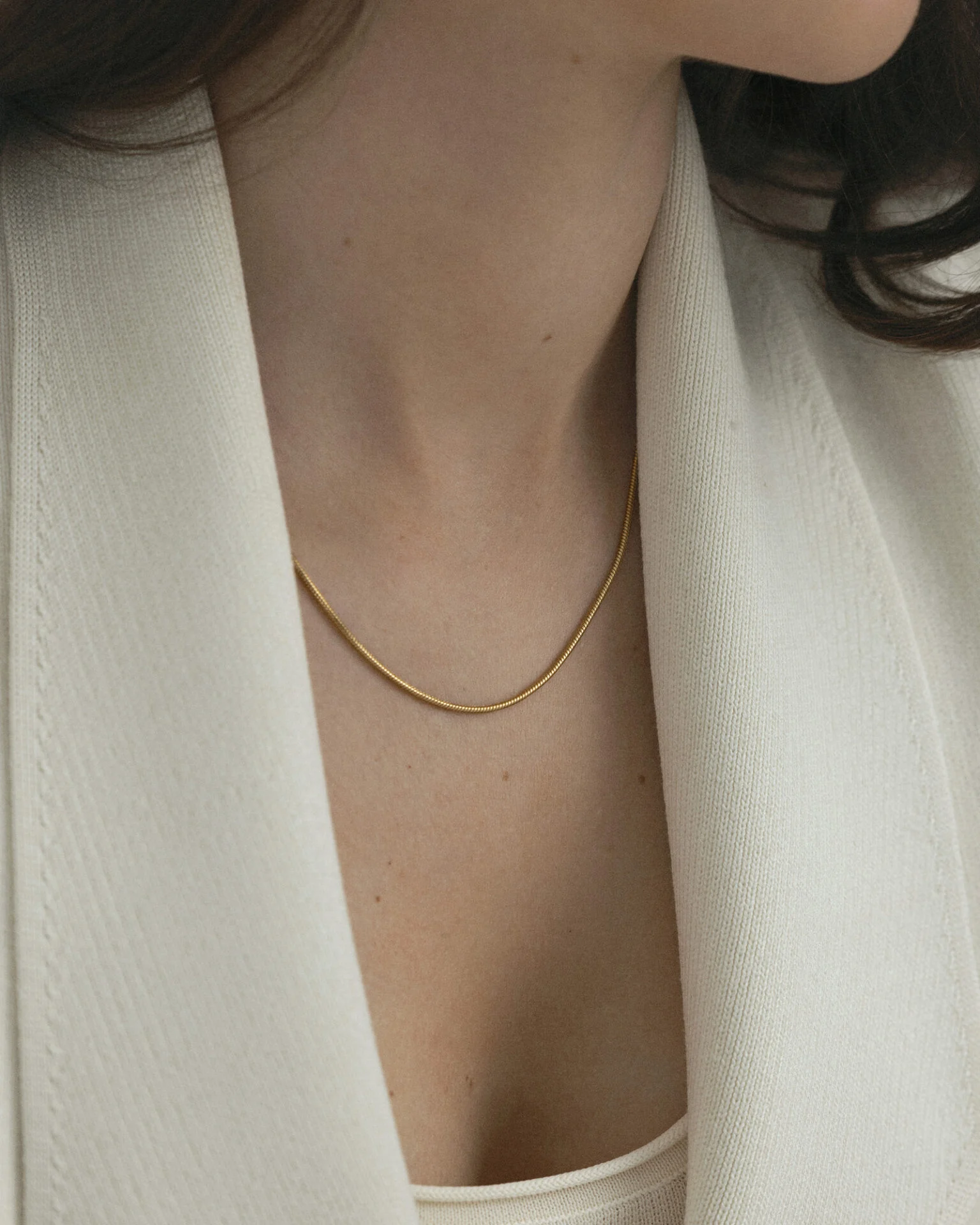 Snake chain necklace 2 -Edit - original (1391805)