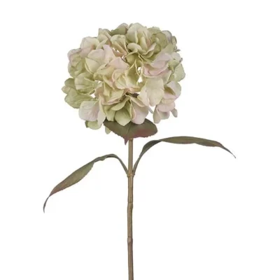 Hortensia 65 cm