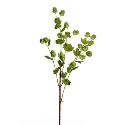 Humle 90 cm