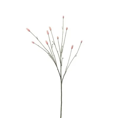 Pimpinell Rosa 80 cm
