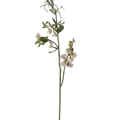 Luktärt Rosa 69 cm