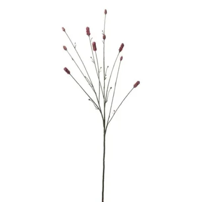 Pimpinell Burgundy 80 cm