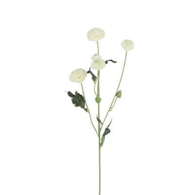 Chrysanthemum Vit 60 cm