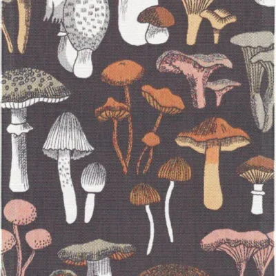 Svamprik 35x120cm