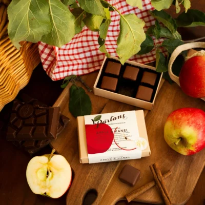 Kola i mjölkchoklad äpple & kanel 6 bitar