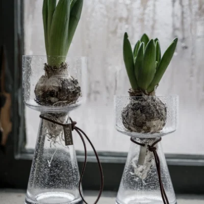 Lökvas d8 h15 bubbligt glas