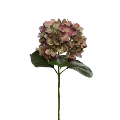 Hortensia 65 cm