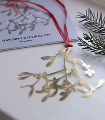 Hänge Mistel Liten