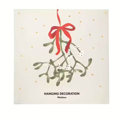 Hänge Mistel Stor