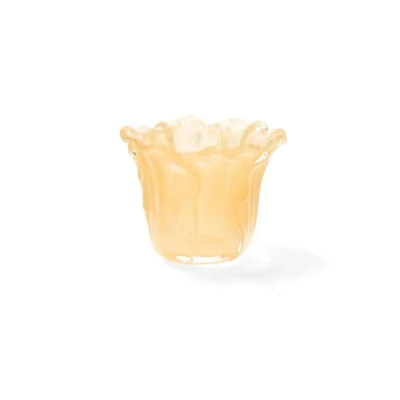 Ljuslykta Blomma Aprikos