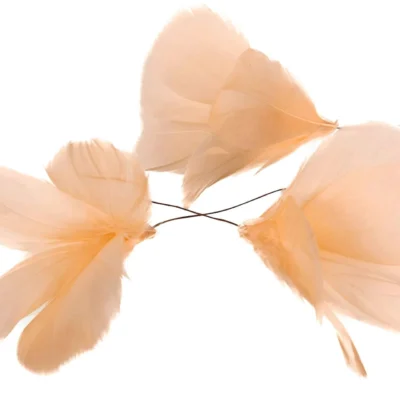 Fjäder Trådad Blom Aprikos