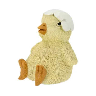 Kyckling Med Äggskal