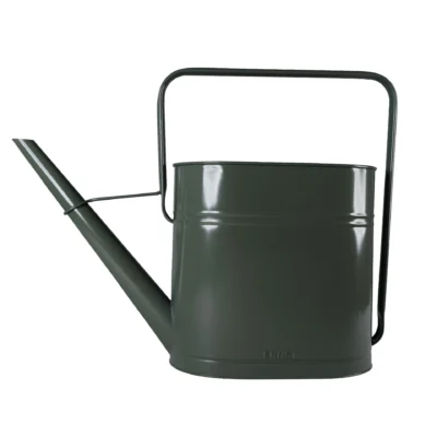 Trädgårdsvattenkanna salvia