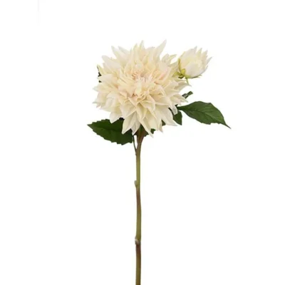 Dahlia Cream 70 cm