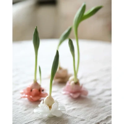 Dekoration Blomma Vit