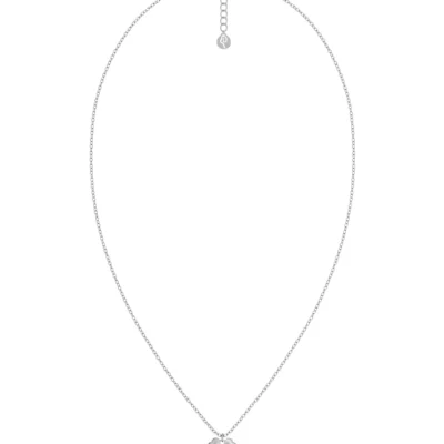Lucky Necklace Steel