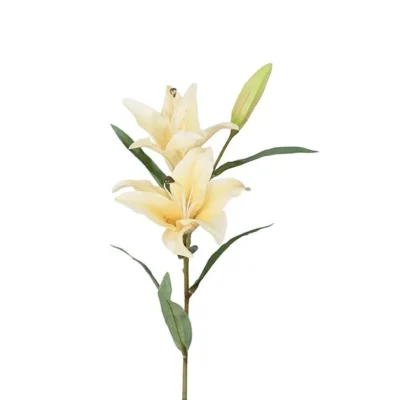 Lilja Gul 60 cm