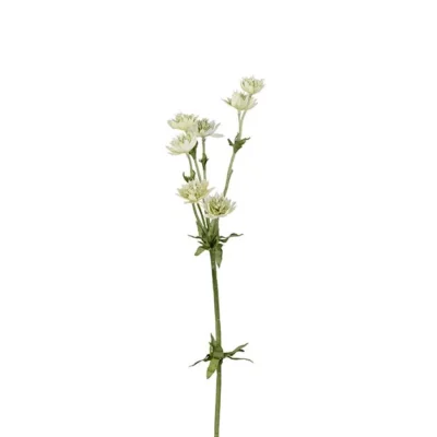 Stjärnflocka Grön 55 cm
