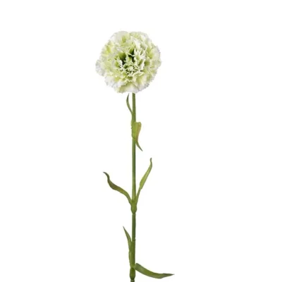 Nejlika Grön 44 cm