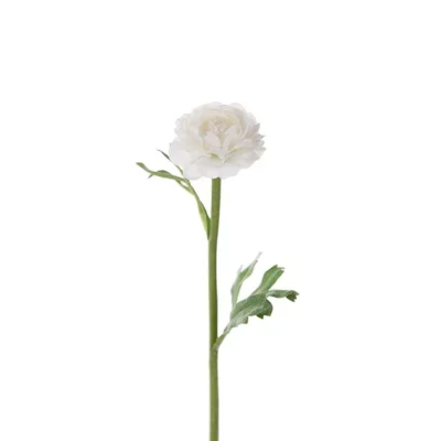 Ranuncel Vit 35 cm