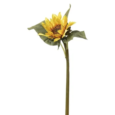 Solros Gul 50 cm