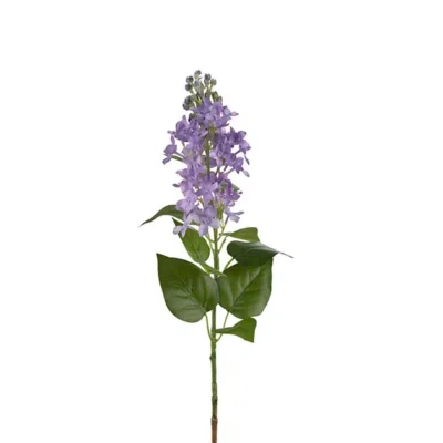 Syrén Lila 60 cm