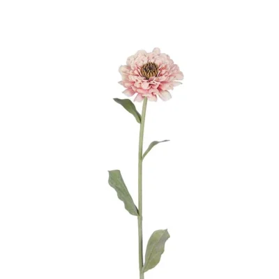 Zinnia Rosa 58 cm
