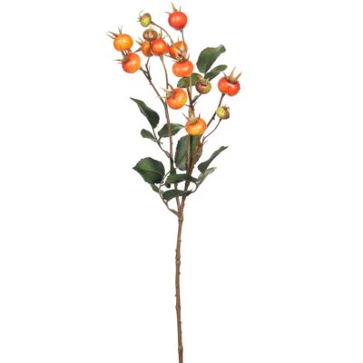 Nypon Orange 60 cm