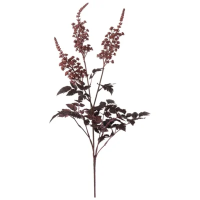 Silverax Burgundy 80 cm