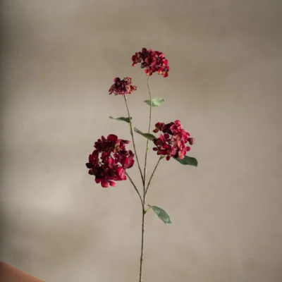 Hortensia Röd 80 cm