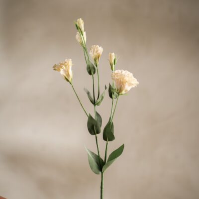 Prärieklocka Cream 73cm