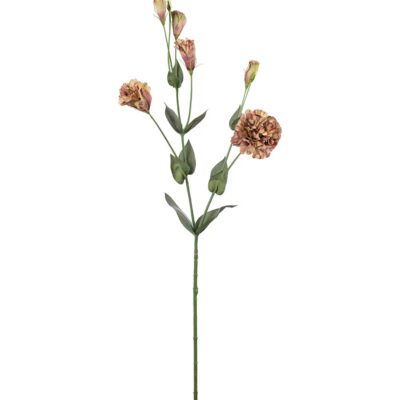 Prärieklocka Flerfärgad 73cm