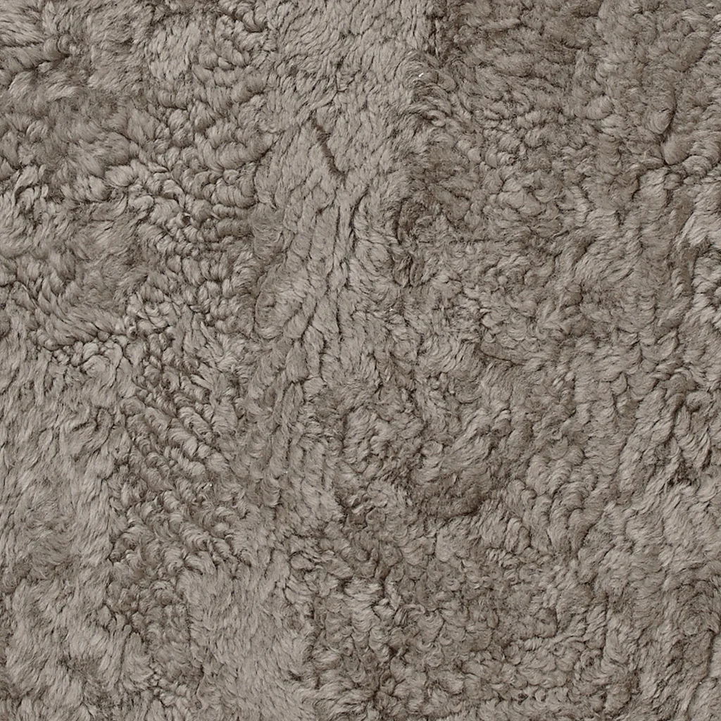 Curly Sahara